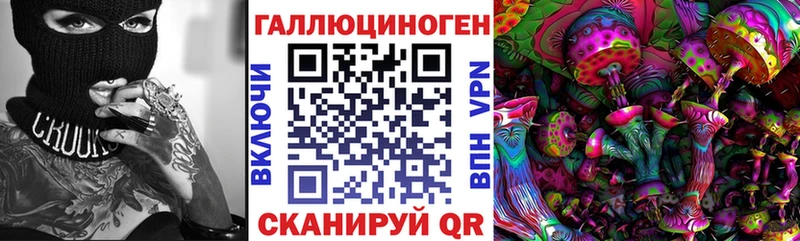 купить наркоту  Чебаркуль  Галлюциногенные грибы GOLDEN TEACHER 