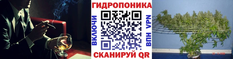 Шишки марихуана Bruce Banner  Чебаркуль 